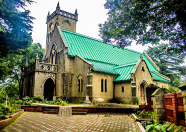 Wood Stock Kasauli