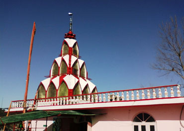 Wood Stock Kasauli