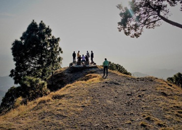 Wood Stock Kasauli